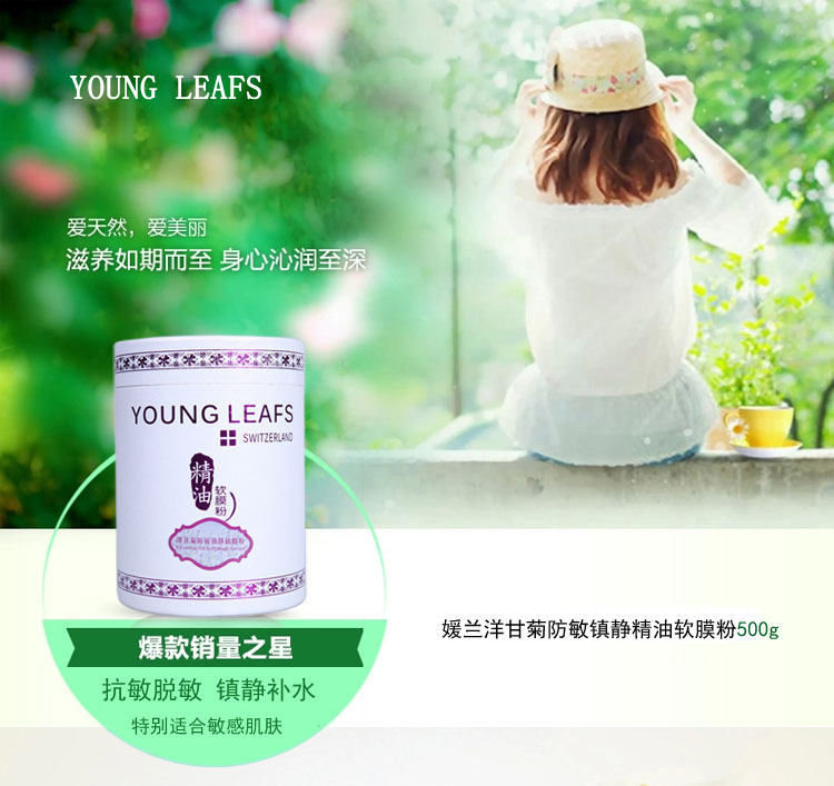 洋甘菊_01.jpg