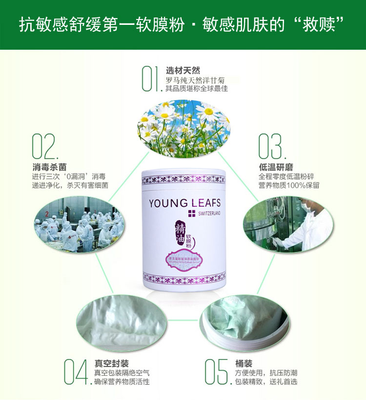 洋甘菊_03.jpg
